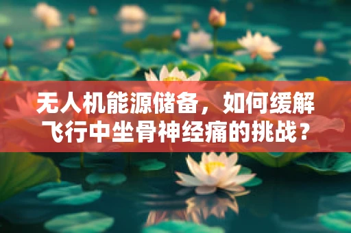 无人机能源储备，如何缓解飞行中坐骨神经痛的挑战？