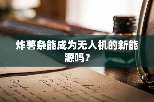 炸薯条能成为无人机的新能源吗？